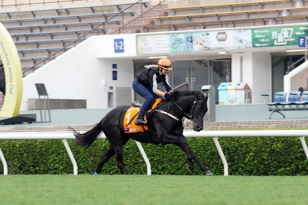 Blinkers an unknown for Aegon