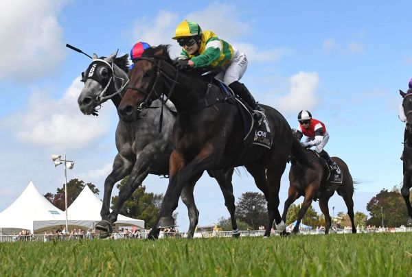 James and Wellwood thwarted fitting weekend result by a nose