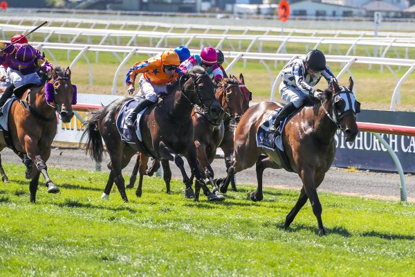 Belclare set for Group One target at Pukekohe