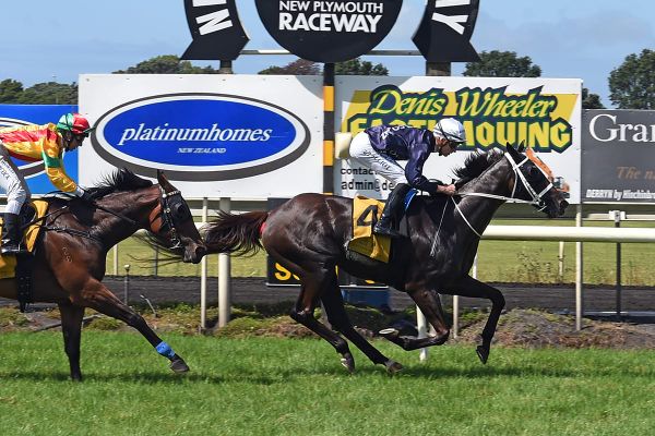 In-form Colorado Star ready to go out on top note