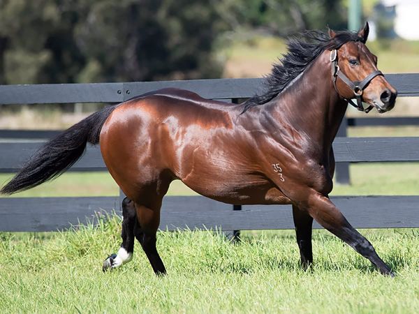 Highview’s 2023 Stallion Fees Set