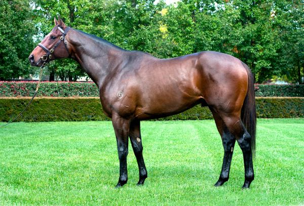 White Robe’s Ghibellines heads unchanged fee roster