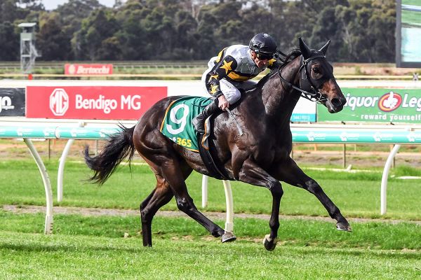 Shock two-state double for Hayes bros