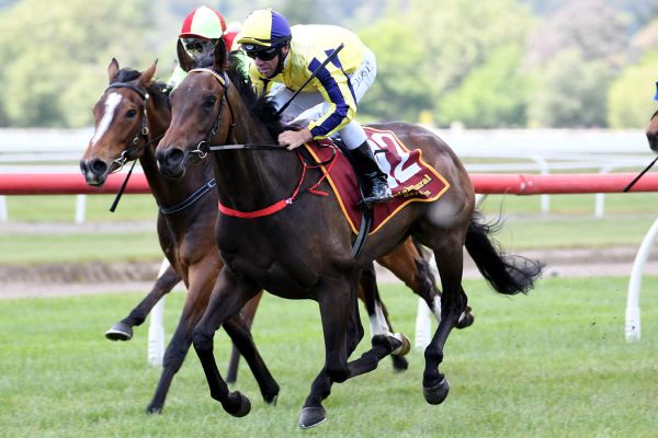 Group One spoils on the line