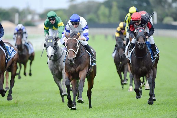Kovalica all class in Queensland Guineas triumph