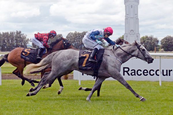 Guineas winner to HK