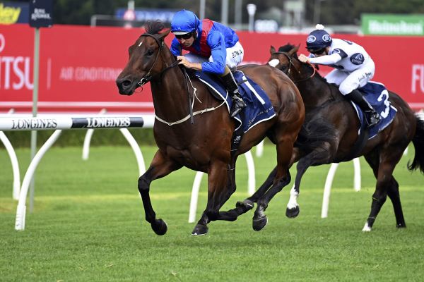 Everest contenders in trial clash