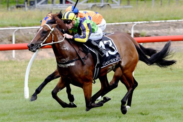 Stakes victory to crown ideal first innings