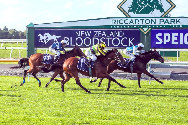 Miss Layla upsets favourites in Airfreight Stakes