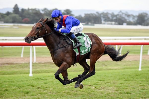 Australian breakthrough for Palmetto