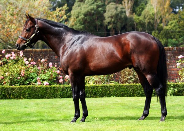 LA 2023 Service Fees Confirmed