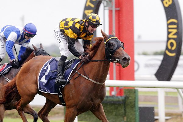 Improved Polygon ready for Oaks