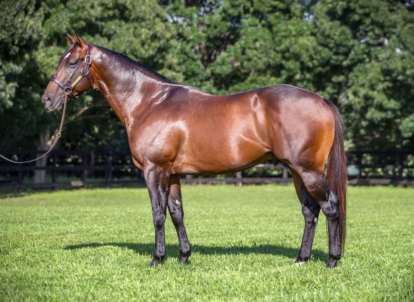 Press Statement to Novara Park