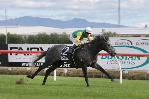 Puketiro continues golden run