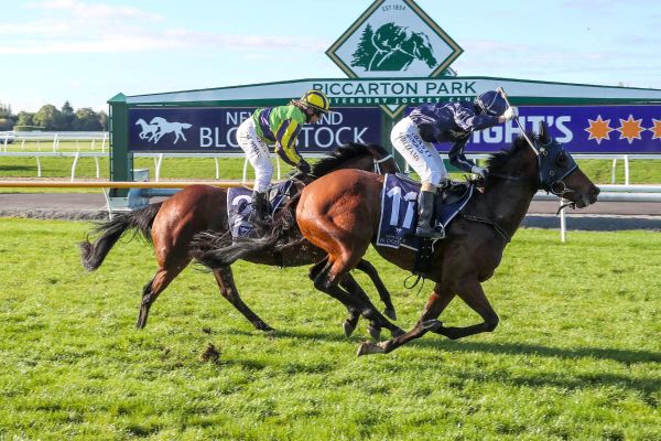 Big brother’s turn in the limelight after massive day out at Riccarton