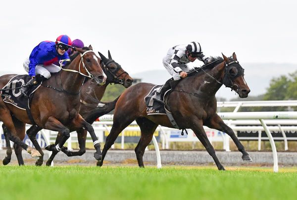 Tavattack provides double for Sharrock and Grylls