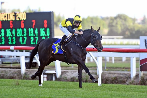 Patterson eyeing another Brisbane venture