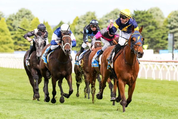 Moroney sets Choice sights high