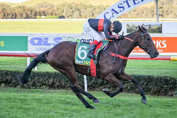 Bold Bourbon lands Casterton Cup