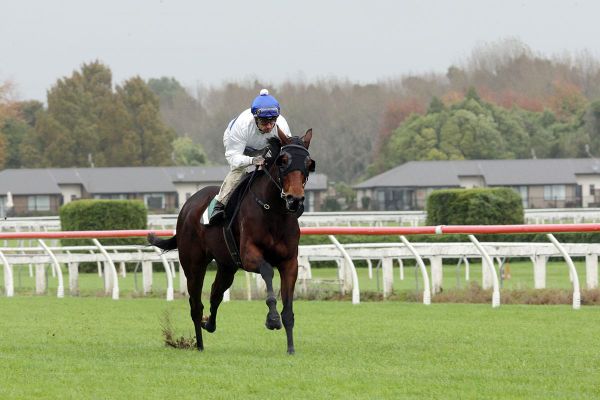 Cheval D’Or on track for Queensland Oaks