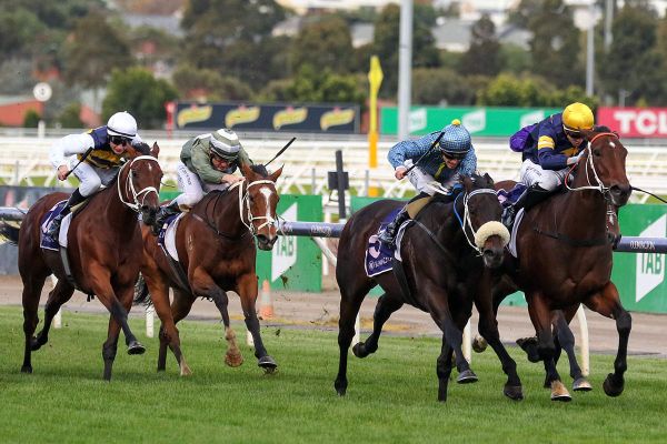 Daytona Bay gets important bob