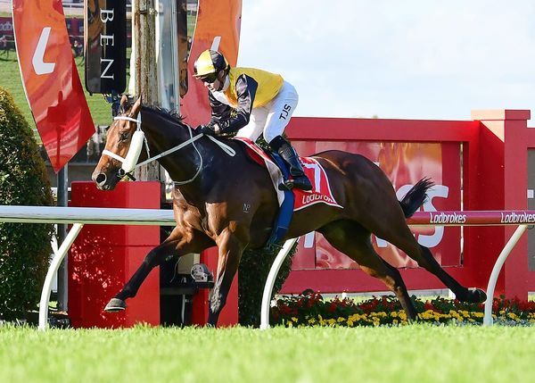 Former Kiwi lands Rough Habit for Waller