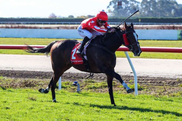 Pitmans strong backers of lucrative local meeting