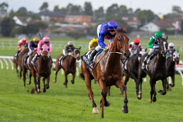 Globe to return at Caulfield