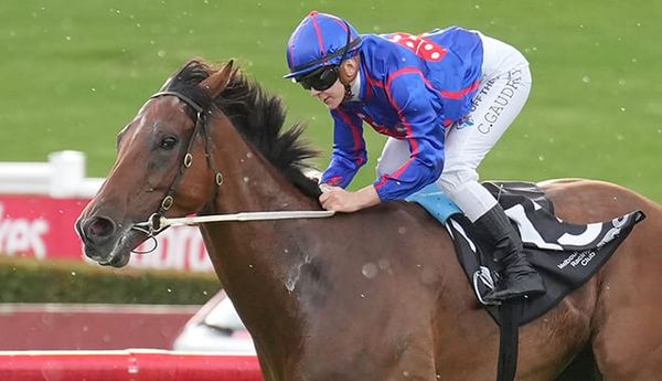 Price star's big winter abandoned