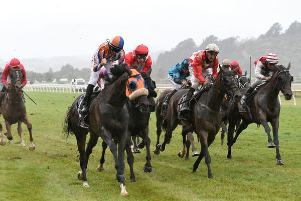 Walker pair swoop on Rotorua feature