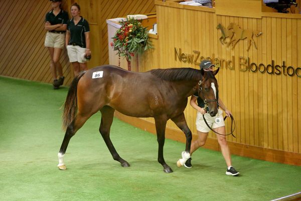 Curraghmore and Sir Owen Glenn team up for second Group One