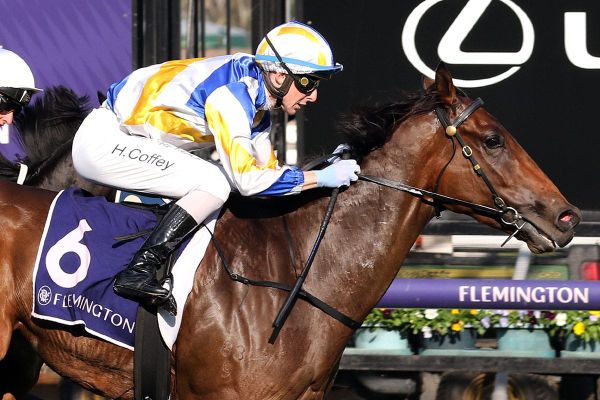 Flemington triumph for Oceans Above