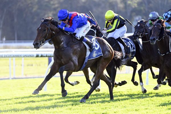 Palmetto set for return