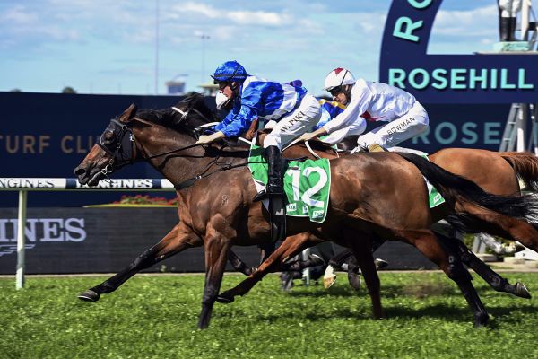 Sargent tickled Pink with Cup contender