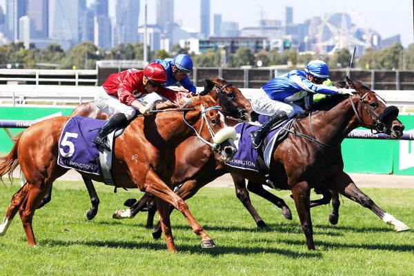 Maher’s Ruthless Sangster assault