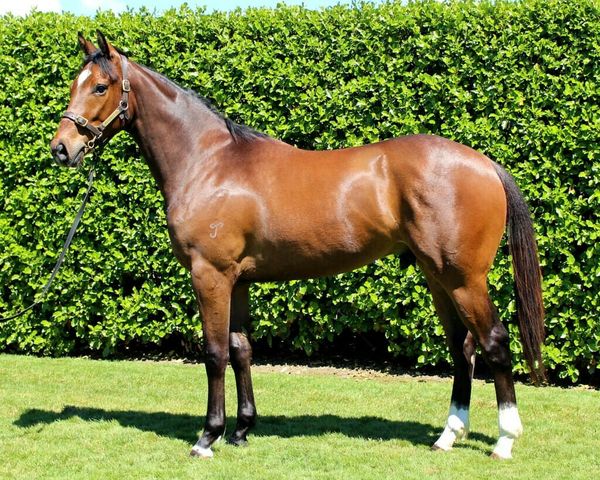 San Andreas Captures Tunku Gold Cup