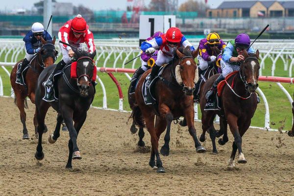 Sassy Chouxs set to dish up another win