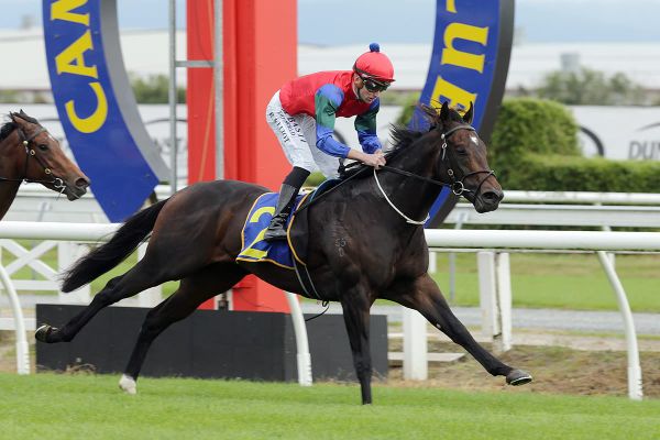 Unlucky Solidify ready for Eagle Farm rematch