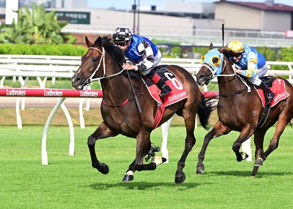 Ucalledit stays home for Sunshine Coast trip