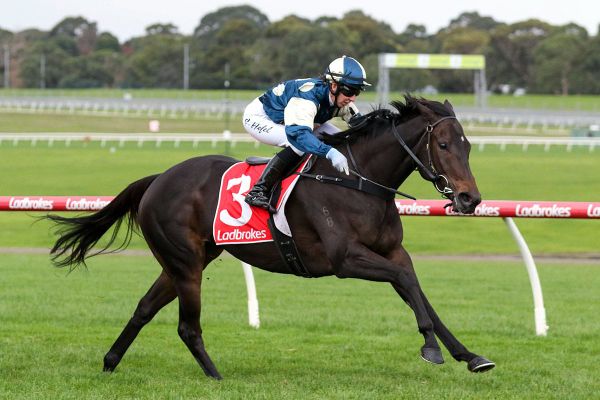 Unusual Culture continues hot form