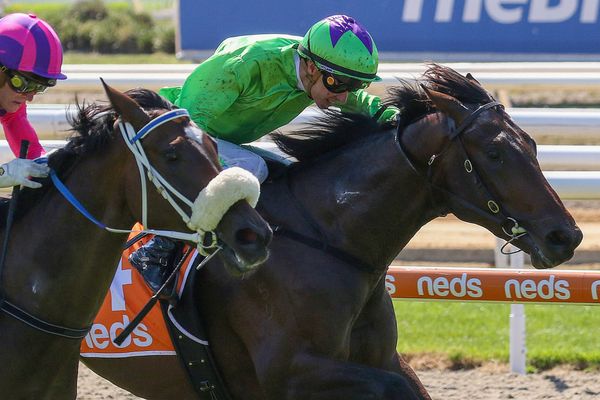 Howley weighs in on Cup call