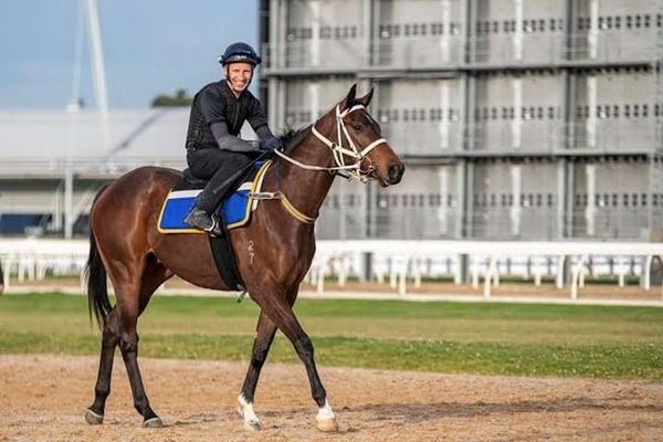 Kiwi jockey set to return to the saddle after 20 years