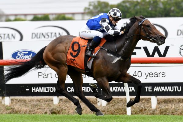 Lees banking on Wolverine to go the distance