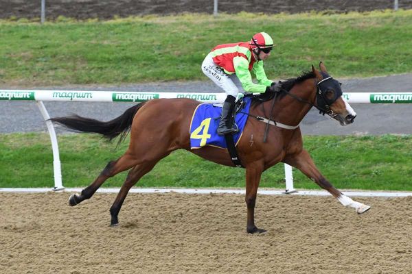 Cleese to make raceday return