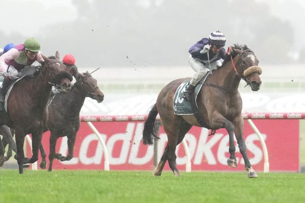 Future bright for Crimson Light