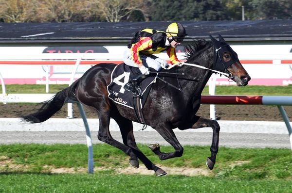 Fabian Hawk’s star continues to rise