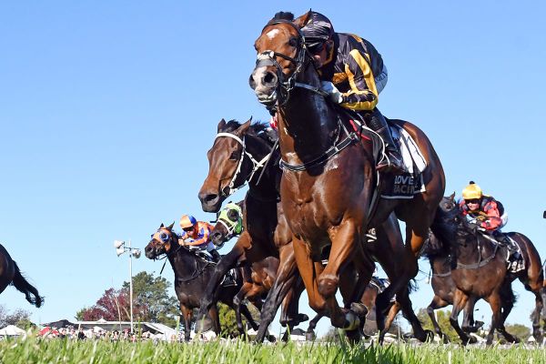 Johny Johny on trial for bigger targets