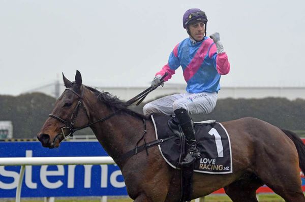 Jumping success styled by Kuru