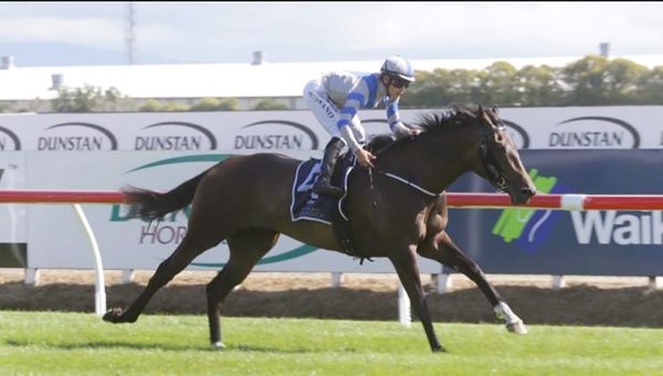 Sakura Girl looking to fulfil Oaks dream
