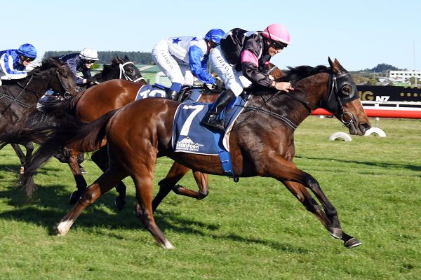 Secret Amour hunting elusive stakes victory